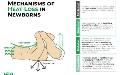 Mechanisms of heat loss in newborns