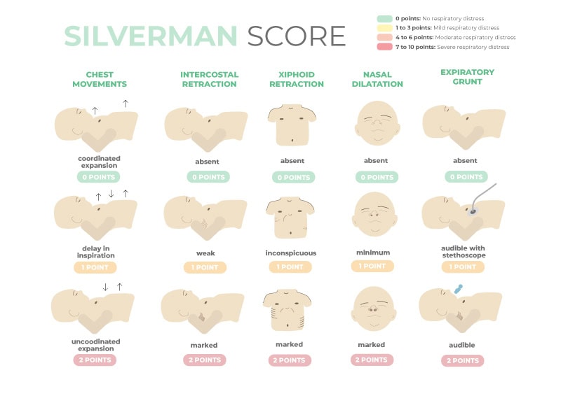 Silverman scale