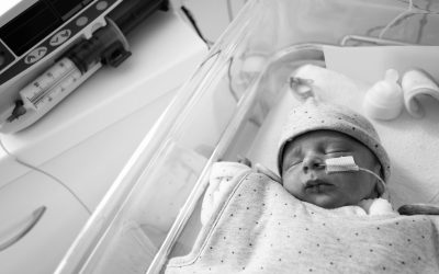 Enteral nutrition in infants: the problem of accidental connections