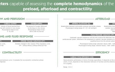 Parameters capable of assesing the complete hemodynamics of the patient: preload, afterload and contractility